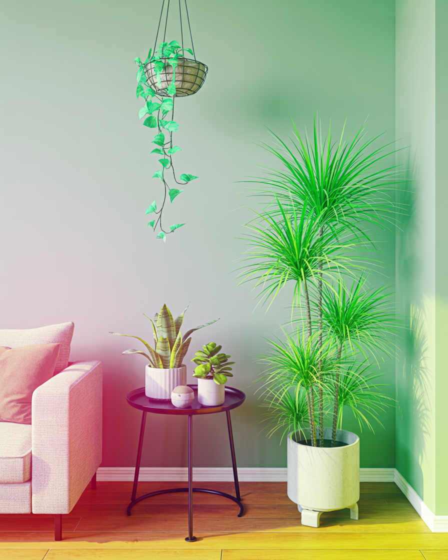 Cozy home corner decorated with indoor plants